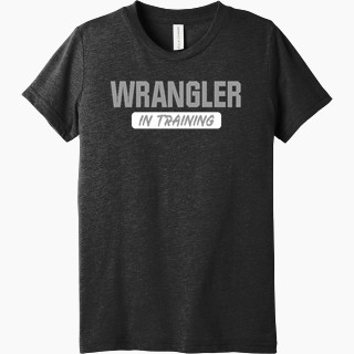 Bella+Canvas Youth Triblend SS Tee