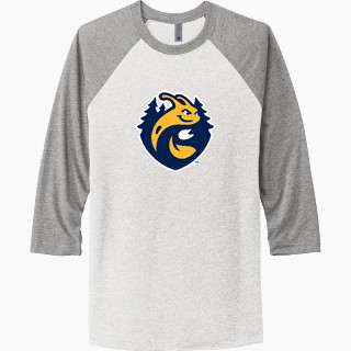 Next Level Unisex Tri-Blend 3/4-Sleeve Raglan T-Shirt
