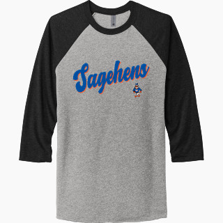 Next Level Unisex Tri-Blend 3/4-Sleeve Raglan T-Shirt