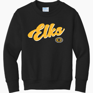 Port & Company Youth Core Fleece Crewneck Sweatshirt