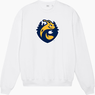 Stanley/Stella Unisex Ledger Dry Crewneck Sweatshirt