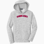 TOOMBS COUNTY HIGH SCHOOL BULLDOGS Sport-Tek Youth PosiCharge Electric Heather Fleece Hoodie Front Thumbnail