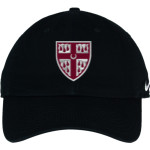 St. Anselm's Abbey Panthers <span class="pdp-name-mascot">Saint Anselm's Abbey Panthers</span> Nike Campus Cap Front Thumbnail