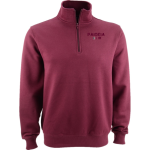 Paideia High Bears <span class="pdp-name-mascot">Paideia High School Bears</span> Sport-Tek Men's 1/4 Zip Pullover Front Thumbnail