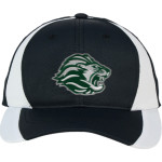 Leroy Greene Lions <span class="pdp-name-mascot">Leroy Greene Academy Lions</span> Sport-Tek DryZone Colorblock Cap Front Thumbnail