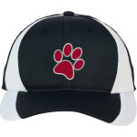 CROW HIGH SCHOOL Cougars Online Store Sport-Tek DryZone Colorblock Cap Front Thumbnail