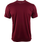 Anna Maria College Amcats <span class="pdp-name-mascot">Anna Maria College Amcats</span> Sport-Tek Youth Short Sleeve Competitor T-Shirt Back Thumbnail