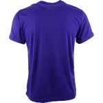 DARLINGTON HIGH SCHOOL FALCONS Sport-Tek Youth Short Sleeve Competitor T-Shirt Back Thumbnail