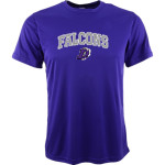 DARLINGTON HIGH SCHOOL FALCONS Sport-Tek Youth Short Sleeve Competitor T-Shirt Front Thumbnail