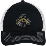 ARGOS HIGH SCHOOL DRAGONS <span class="pdp-name-mascot">ARGOS DRAGONS</span> District Mesh Back Cap Front Thumbnail