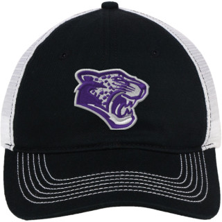 District Mesh Back Cap