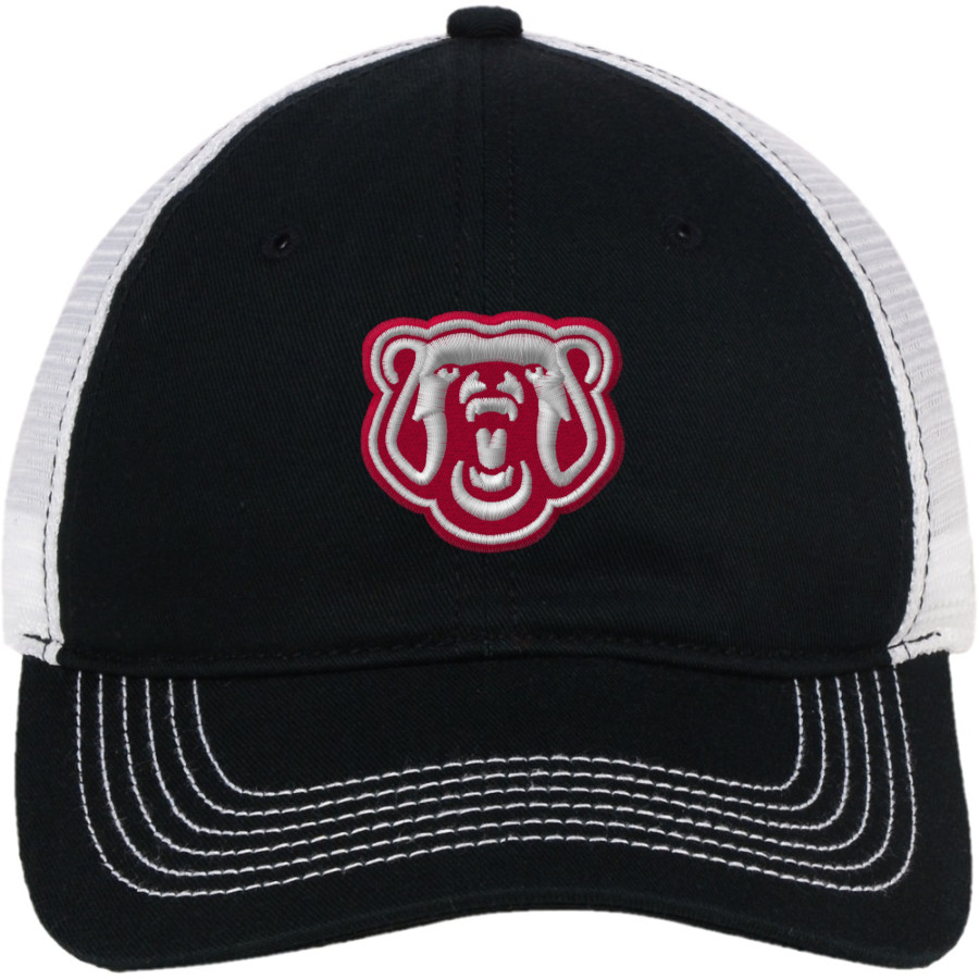 CHAMBERLAIN HIGH SCHOOL CUBS <span class="pdp-name-mascot">CHAMBERLAIN CUBS</span> District Mesh Back Cap