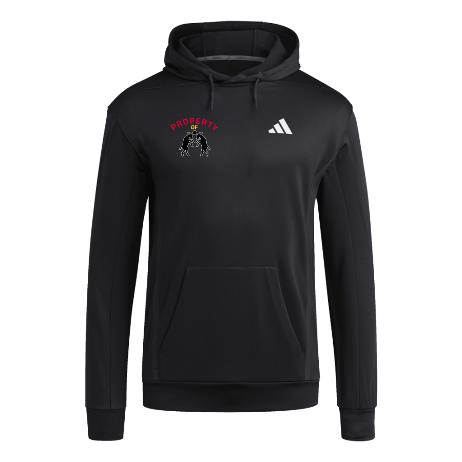 Driftless United Futbol Club <span class="pdp-name-mascot">Driftless United Futbol</span> adidas Men's Game & Go Training Hoodie
