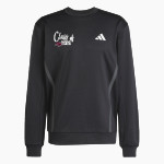 Deer Park Falcons <span class="pdp-name-mascot">Deer Park Falcons</span> adidas Men's Game & Go Team Issue Crew Front Thumbnail