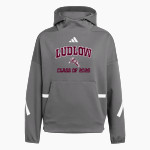 Ludlow Lions <span class="pdp-name-mascot">Lions</span> adidas Women's Z.N.E. Hoodie Front Thumbnail