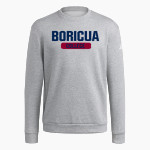 Boricua College <span class="pdp-name-mascot">Boricua College Lions</span> adidas Men's Fleece Crew Sweatshirt Front Thumbnail