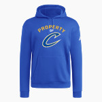 COVENTRY HIGH SCHOOL COMETS <span class="pdp-name-mascot">COVENTRY COMETS</span> adidas Men's Fleece Pullover Hood Front Thumbnail