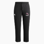 Ludlow Lions <span class="pdp-name-mascot">Lions</span> adidas Men's Fleece Pants Front Thumbnail