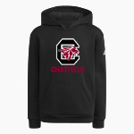 Chatfield Chargers <span class="pdp-name-mascot">Chatfield Chargers</span> adidas Youth Fleece Pullover Hood Front Thumbnail