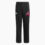 Alexander Comets <span class="pdp-name-mascot">Alexander Public School Comets</span> adidas Youth Fleece Pants Front Thumbnail