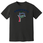 PATHWAYS ACADEMY OF TECHNOLOGY & DESIGN <span class="pdp-name-mascot">PATHWAYS ACADEMY PANTHERS</span> Comfort Colors Adult Garment-Dyed Heavyweight T-Shirt Front Thumbnail
