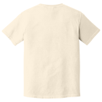 Naples Classical Academy <span class="pdp-name-mascot">Naples Classical Academy Patriots</span> Comfort Colors Adult Heavyweight Garment-Dyed T-Shirt Back Thumbnail