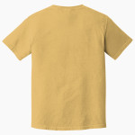 Skagway Panthers Comfort Colors Men's Heavyweight Garment-Dyed T-Shirt Back Thumbnail