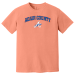 Adair County Indians <span class="pdp-name-mascot">Adair County Indians</span> Comfort Colors Adult Garment-Dyed Heavyweight T-Shirt Front Thumbnail