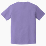 DULUTH HIGH SCHOOL WILDCATS <span class="pdp-name-mascot">DULUTH WILDCATS</span> Comfort Colors Adult Heavyweight Garment-Dyed T-Shirt Back Thumbnail