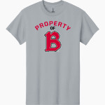 Benedictine University Mesa Redhawks Gildan Men's Heavy Cotton Short Sleeve T-Shirt Front Thumbnail