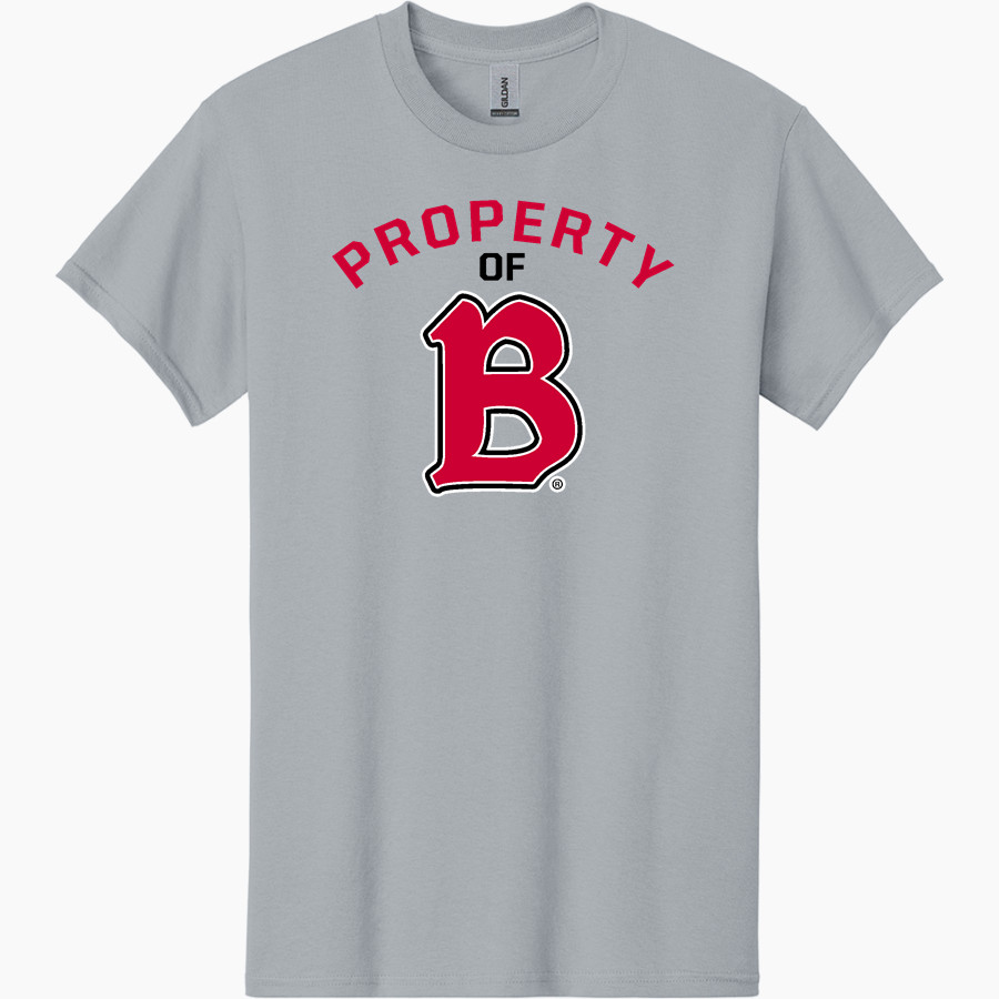 Benedictine University Mesa Redhawks Gildan Men's Heavy Cotton Short Sleeve T-Shirt