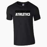 CISTERCIAN PREPARATORY SCHOOL HAWKS <span class="pdp-name-mascot">CISTERCIAN HAWKS</span> Gildan Adult Softstyle T-Shirt Front Thumbnail