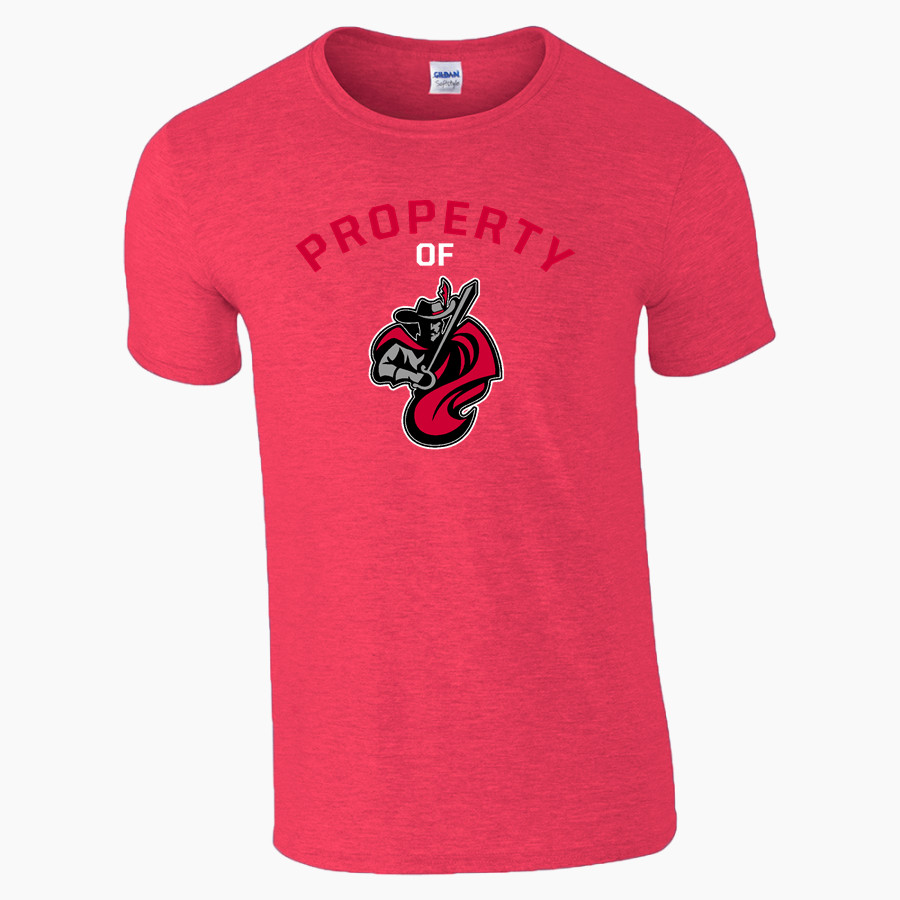 CHATHAM HIGH SCHOOL CAVALIERS <span class="pdp-name-mascot">CHATHAM CAVALIERS</span> Gildan Adult Softstyle T-Shirt