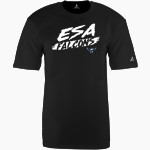 ESA Falcons <span class="pdp-name-mascot">ESA Falcons</span> BSN SPORTS Men's Phenom Short Sleeve T-Shirt Front Thumbnail