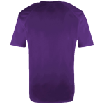 LAPORTE HIGH SCHOOL WILDCATS <span class="pdp-name-mascot">LAPORTE WILDCATS</span> BSN SPORTS Men's Phenom Short Sleeve T-Shirt Back Thumbnail