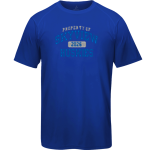 Skyview Huskies <span class="pdp-name-mascot">Skyview Huskies</span> BSN SPORTS Men's Phenom Short Sleeve T-Shirt Front Thumbnail