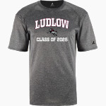 Ludlow Lions <span class="pdp-name-mascot">Lions</span> BSN SPORTS Men's Phenom Short Sleeve T-Shirt Front Thumbnail
