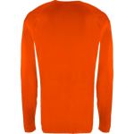 POYNETTE HIGH SCHOOL PUMAS <span class="pdp-name-mascot">POYNETTE PUMAS</span> BSN SPORTS Men's Phenom Long Sleeve T-Shirt Back Thumbnail