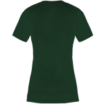 Terra Verde Discovery School Owls <span class="pdp-name-mascot">Terra Verde Discovery School</span> BSN SPORTS Women's Phenom Short Sleeve T-Shirt Back Thumbnail