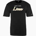 LEVERETTS CHAPEL HIGH SCHOOL LIONS <span class="pdp-name-mascot">LEVERETTS CHAPEL LIONS</span> BSN SPORTS Youth Phenom Short Sleeve T-Shirt Front Thumbnail