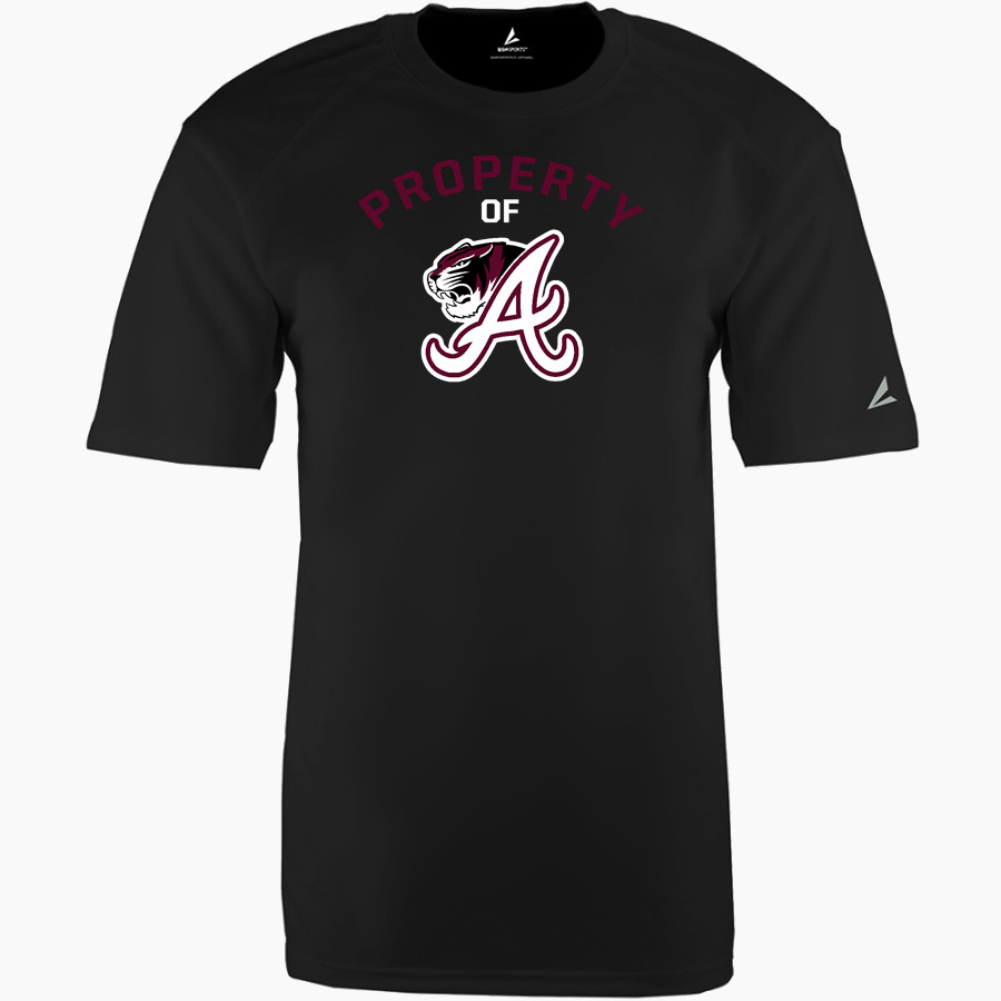 ARP HIGH SCHOOL TIGERS <span class="pdp-name-mascot">ARP TIGERS</span> BSN SPORTS Youth Phenom Short Sleeve T-Shirt
