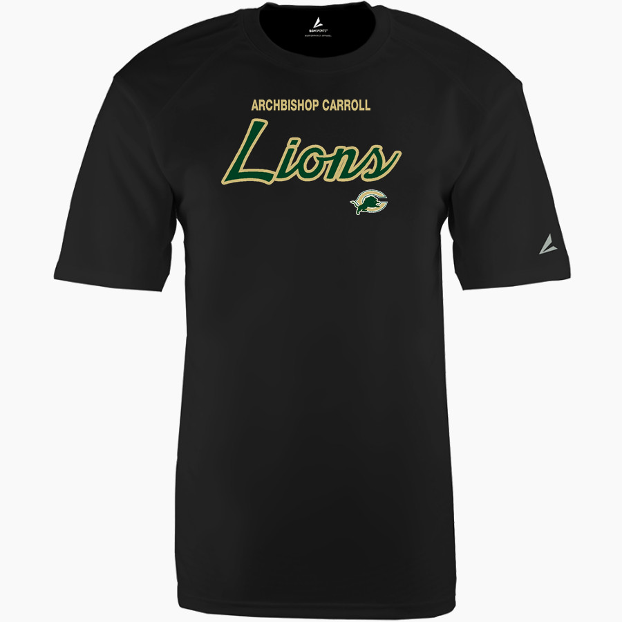 ARCHBISHOP CARROLL HIGH SCHOOL LIONS <span class="pdp-name-mascot">ARCHBISHOP CARROLL LIONS</span> BSN SPORTS Youth Phenom Short Sleeve T-Shirt