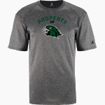 FCS Iolana <span class="pdp-name-mascot">FCS Iolana</span> BSN SPORTS Youth Phenom Short Sleeve T-Shirt Front Thumbnail