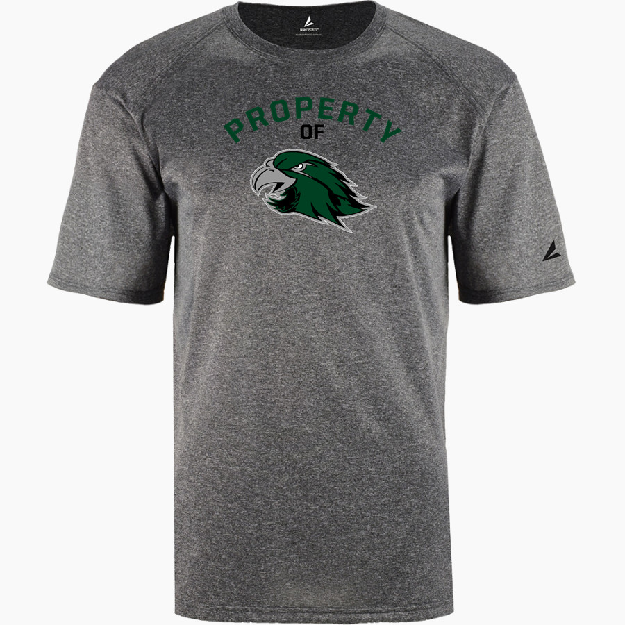FCS Iolana <span class="pdp-name-mascot">FCS Iolana</span> BSN SPORTS Youth Phenom Short Sleeve T-Shirt