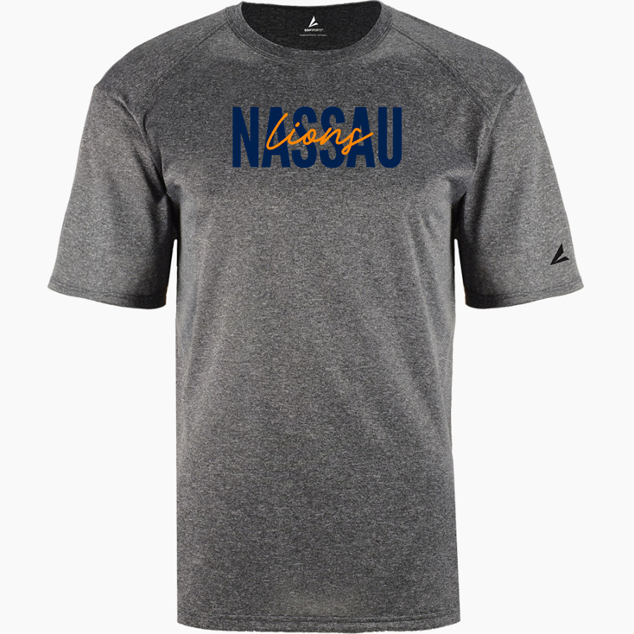 Nassau Lions <span class="pdp-name-mascot">Nassau Community College Lions</span> BSN SPORTS Youth Phenom Short Sleeve T-Shirt