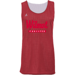 WILMOT UNION HIGH SCHOOL PANTHERS <span class="pdp-name-mascot">WILMOT PANTHERS</span> BSN SPORTS Adult Reversible Mesh Basketball Jersey Front Thumbnail