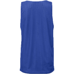 The Cindy Platt Boys & Girls Club of Transylvania County <span class="pdp-name-mascot">The Cindy Platt Boys & Girls Club of Transylvania County</span> BSN SPORTS Adult Reversible Mesh Basketball Jersey Back Thumbnail