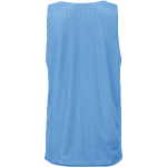 Pearson Panthers <span class="pdp-name-mascot">Pearson School Panthers</span> BSN SPORTS Youth Reversible Mesh Basketball Jersey Back Thumbnail