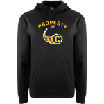 Catonsville Comets <span class="pdp-name-mascot">Catonsville Comets</span> BSN SPORTS Men's Recruit Hoodie Front Thumbnail