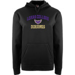 Loras College Duhawks <span class="pdp-name-mascot">Loras College Duhawks</span> BSN SPORTS Men's Recruit Hoodie Front Thumbnail